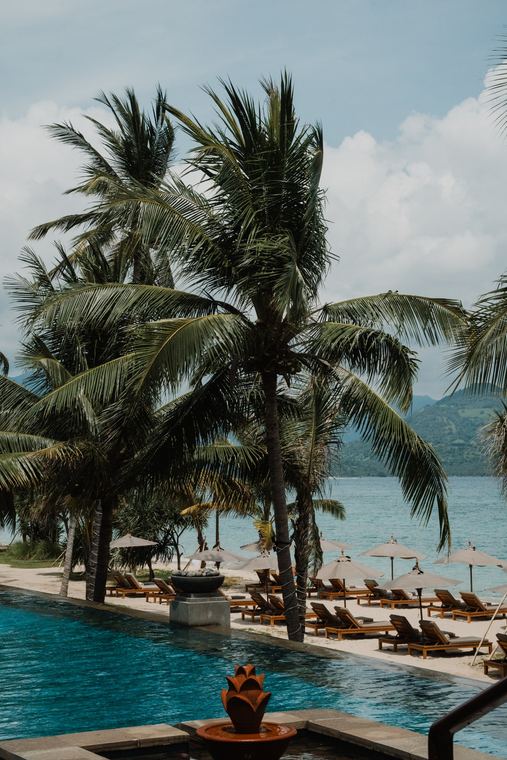 Pool with palm trees and sun loungers by the beach